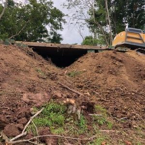 Meet your Posher, Timothy